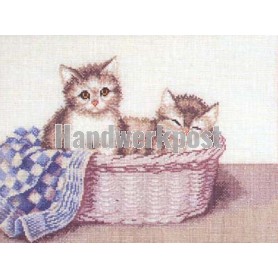 stickpackung kittens in rieten mand