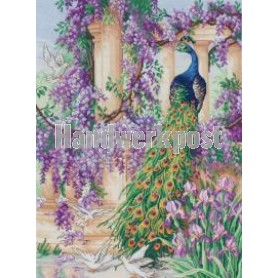 stickpackung pauw met bloemen/vogels
