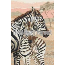 stickpackung zebra met veulen