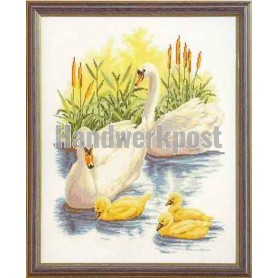 stickpackung zwanen met jongen