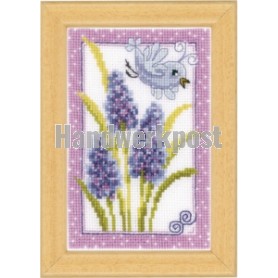 stickpackung blauwe druifjes met vogel