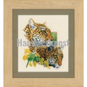 stickpackung savanne, luipaarden
