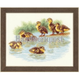 stickpackung eenden zwemles, 1, 2… hoepla!