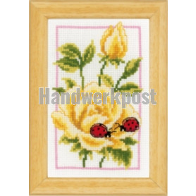 stickpackung gele rozen met lieveheersbeestjes