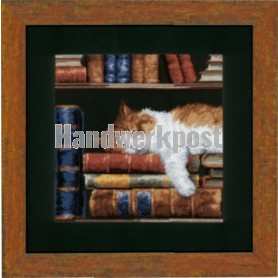 stickpackung poes in de boekenkast