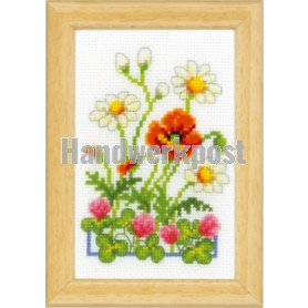 stickpackung margrieten met klaproos