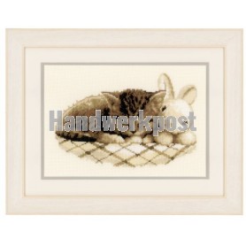 stickpackung poes met knuffel