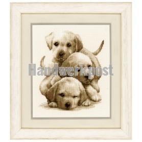 stickpackung drie labradorpups