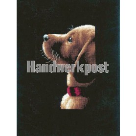 stickpackung labradorpup