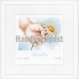 stickpackung handje met margriet, geburt amelia