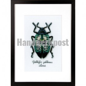 stickpackung insecten, blauwe kever