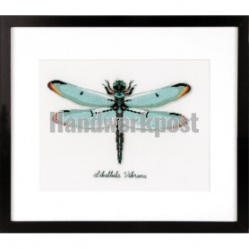 stickpackung insecten, libelle