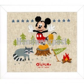 stickpackung mickey mouse, geburt