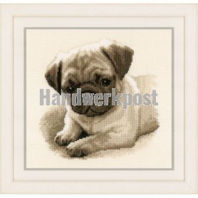 stickpackung mopshond