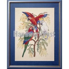 stickpackung vogels, papegaaien