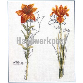 stickpackung iris en lelie