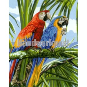 stramin papegaaien in regenwoud