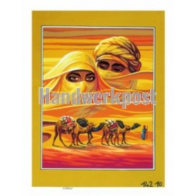 stramin sahara tocht...
