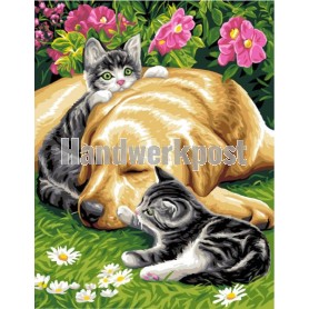 stramin "onafscheidelijk trio"