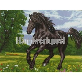 stramin + garnpaket, zwarte hengst in galop