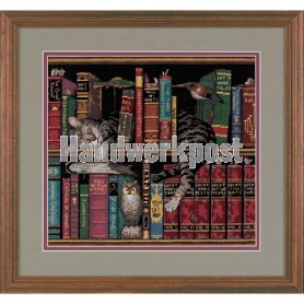 stickpackung poes in de boekenkast