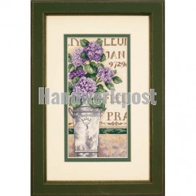 stickpackung hortensia in bloei