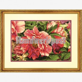 stickpackung rose/rode pioenrozen