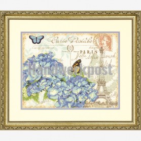 stickpackung hortensia's uit parijs