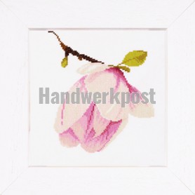 stickpackung magnolia-1