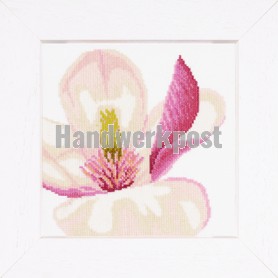 stickpackung magnolia-3