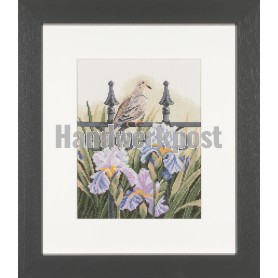 stickpackung achtertuin met duif