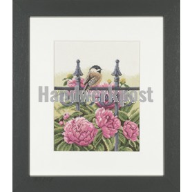 stickpackung achtertuin met mees