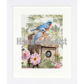 stickpackung nestkastje met vogels