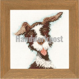 stickpackung hondje, buster