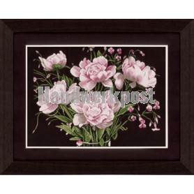 stickpackung rose rozen op zwart