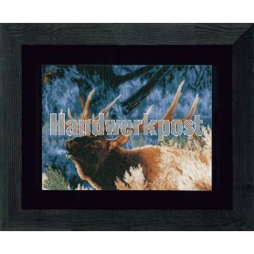 stickpackung edelhert in ochtenddauw