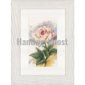 stickpackung witte roos "the chosen one"