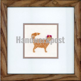stickpackung jazz cats-1