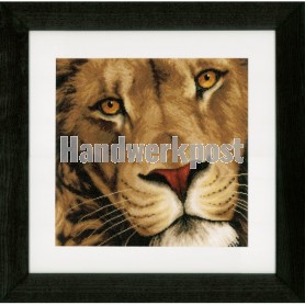 stickpackung leeuw close-up