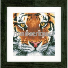 stickpackung tijger close-up