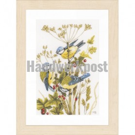 stickpackung marjolein bastin, pimpelmeesjes met rode besjes