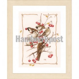 stickpackung marjolein bastin, huismusjes met rode besjes