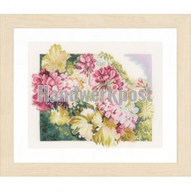 stickpackung geraniums