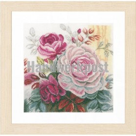 stickpackung rose roos
