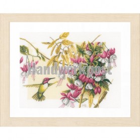 stickpackung marjolein bastin, kolibri met fuchsia's