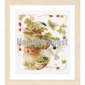 stickpackung marjolein bastin, vogels met aardbeien