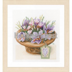 stickpackung marjolein bastin, krokussen