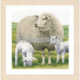 stickpackung schaap met lammetjes