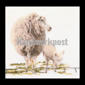 stickpackung schaap met lam