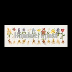 stickpackung voorjaarsbloemen